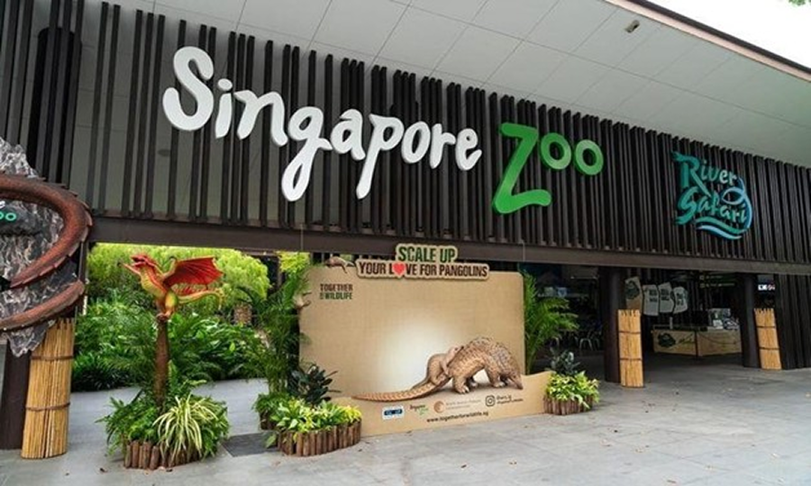Changi Airport